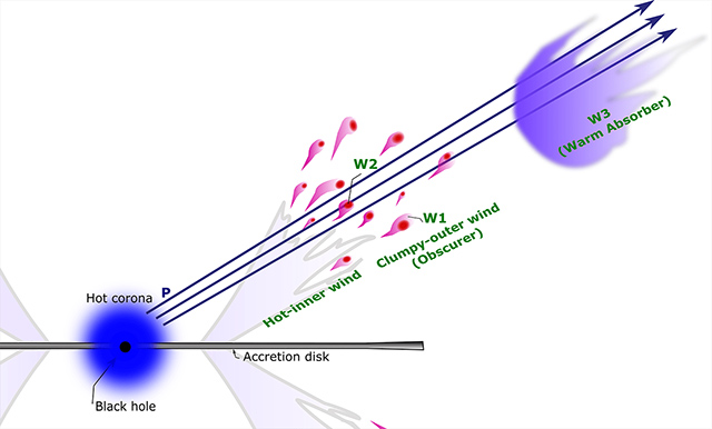 研究チームのモデルの概略図 研究チームのモデルの概略図