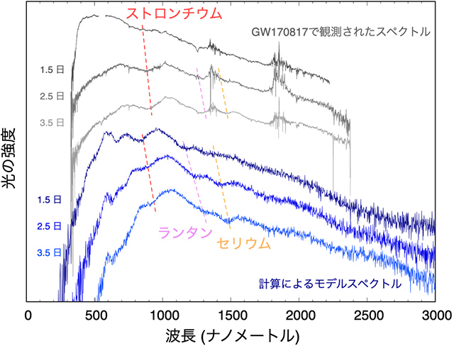 キロノバのスペクトルと本研究で得られたスペクトル キロノバのスペクトルと本研究で得られたスペクトル