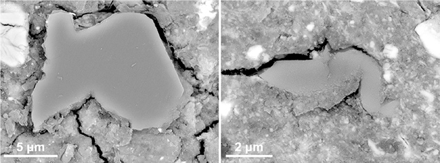 リュウグウの試料に含まれるかんらん石とスピネル リュウグウの試料に含まれるかんらん石とスピネル