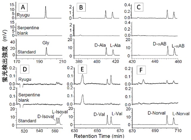 左右型アミノ酸の比率 左右型アミノ酸の比率