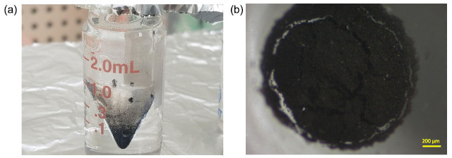 固体有機物 固体有機物