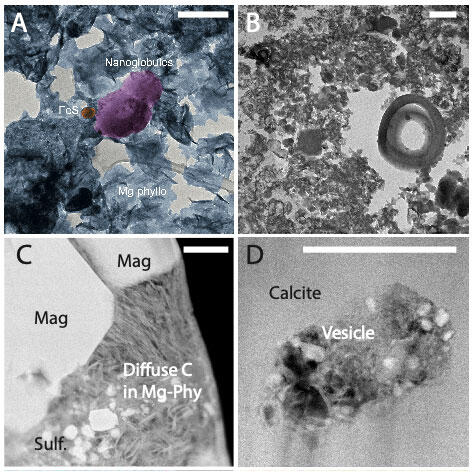 有機物の電子顕微鏡画像 有機物の電子顕微鏡画像