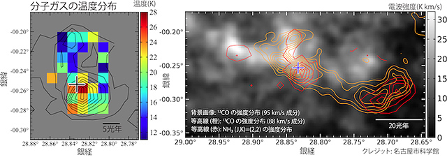 N49周辺の分子ガスの温度分布 N49周辺の分子ガスの温度分布
