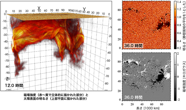 ねじれゼロの磁束管による黒点形成の様子と磁場強度と太陽表面の明るさ ねじれゼロの磁束管による黒点形成の様子と磁場強度と太陽表面の明るさ