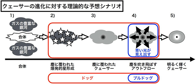 クエーサーの進化に関する理論的な予想シナリオ クエーサーの進化に関する理論的な予想シナリオ