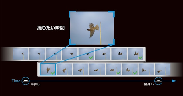 メモリー増設と連続撮影可能枚数など大幅アップ メモリー増設と連続撮影可能枚数など大幅アップ