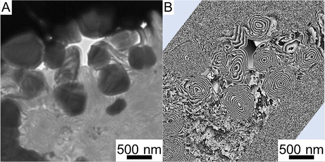 マグネタイト粒子とその磁束分布 マグネタイト粒子とその磁束分布