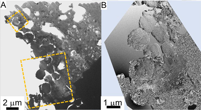 擬似マグネタイトとその内部 擬似マグネタイトとその内部