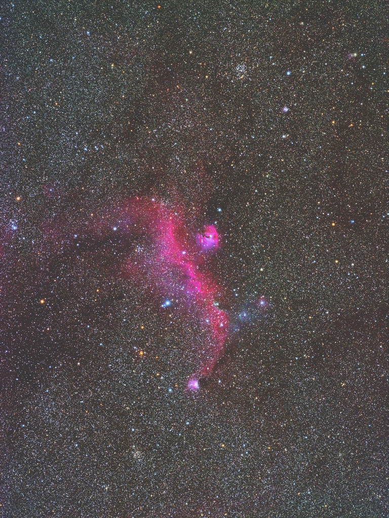 作例「かもめ星雲」 作例「かもめ星雲」