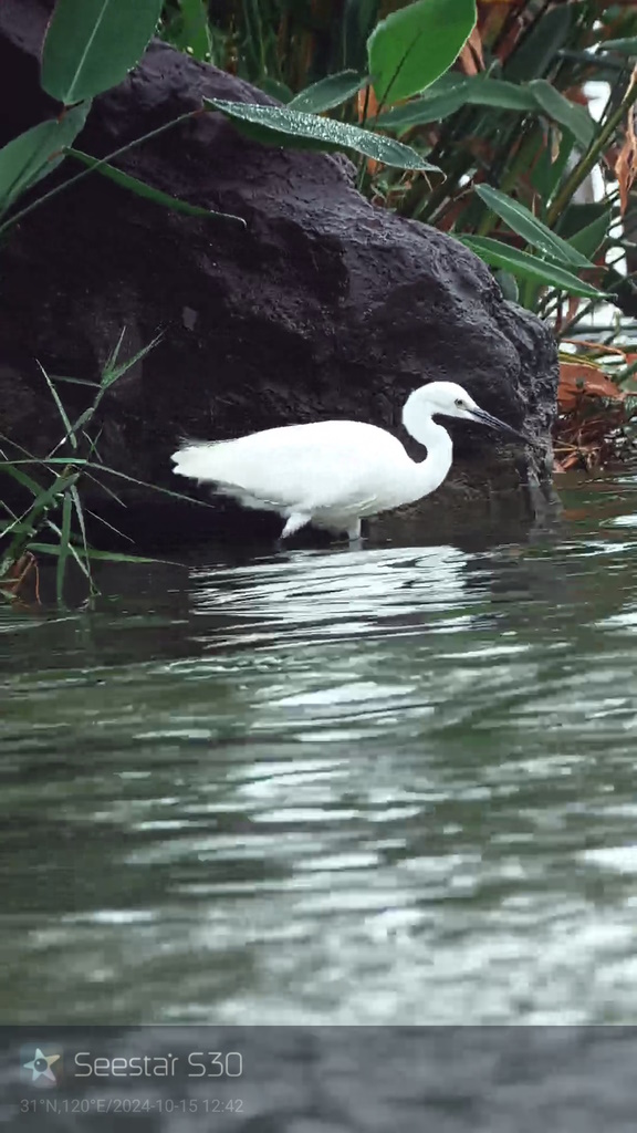 日中の撮影例 日中の撮影例