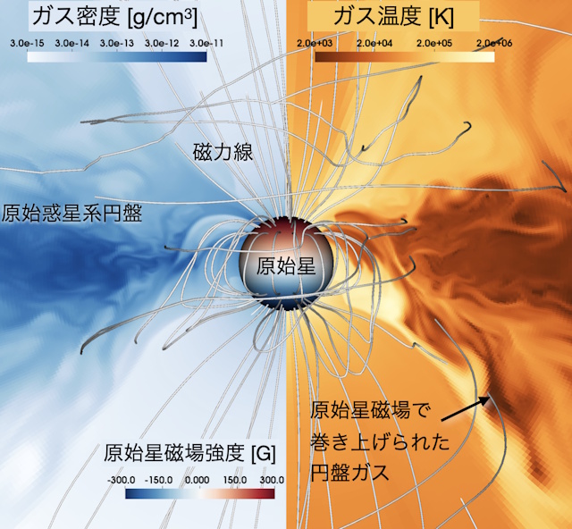 強い磁場をもつ原始星が円盤ガスと相互作用する様子