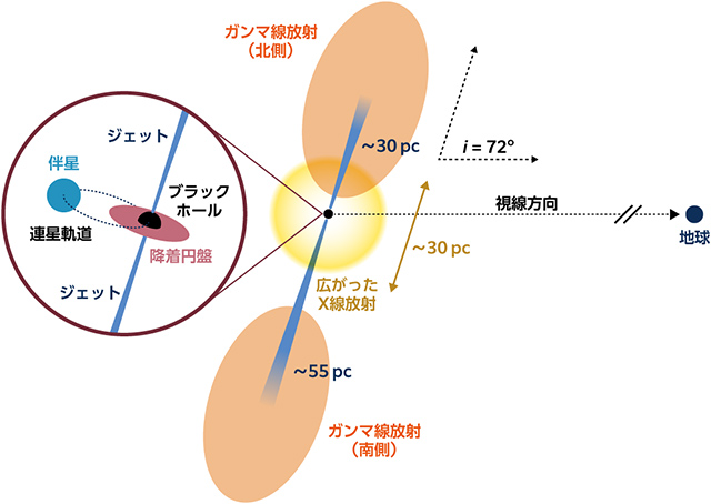 いて座V4641の概念図
