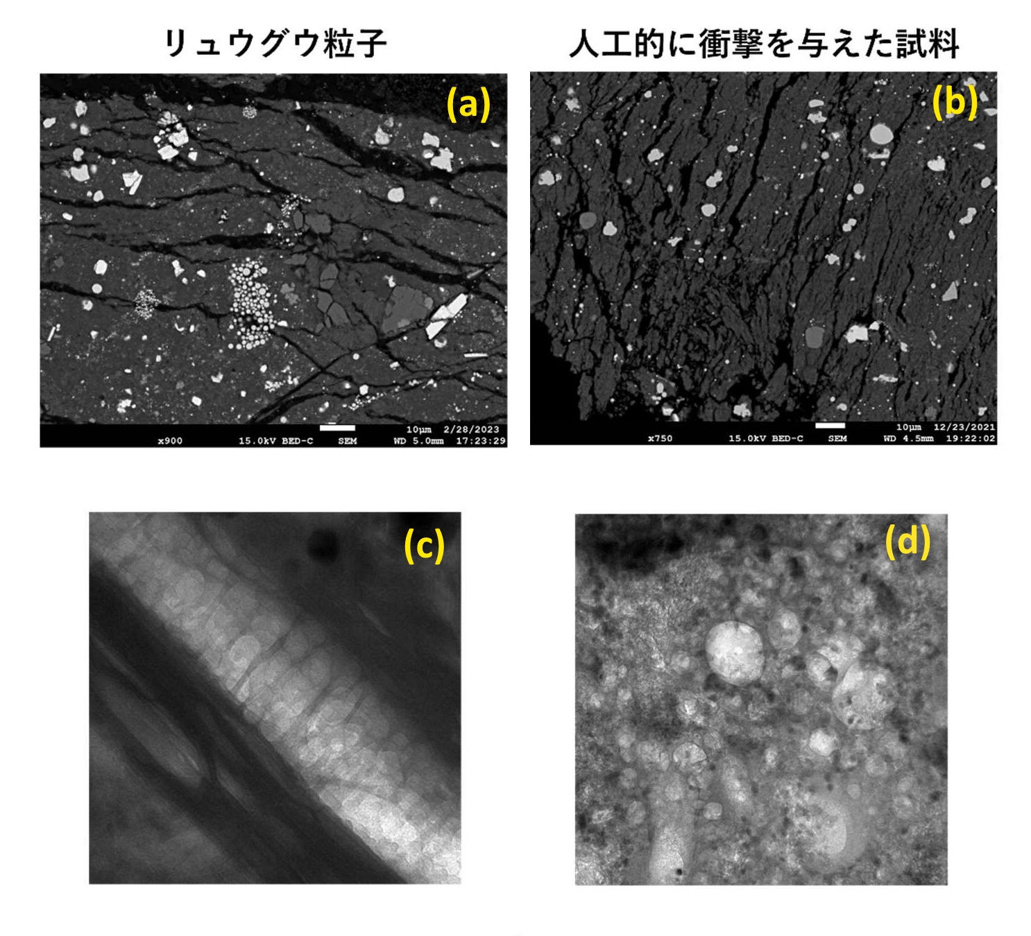 リュウグウ粒子と衝撃実験後の隕石試料に見られる衝突の痕跡