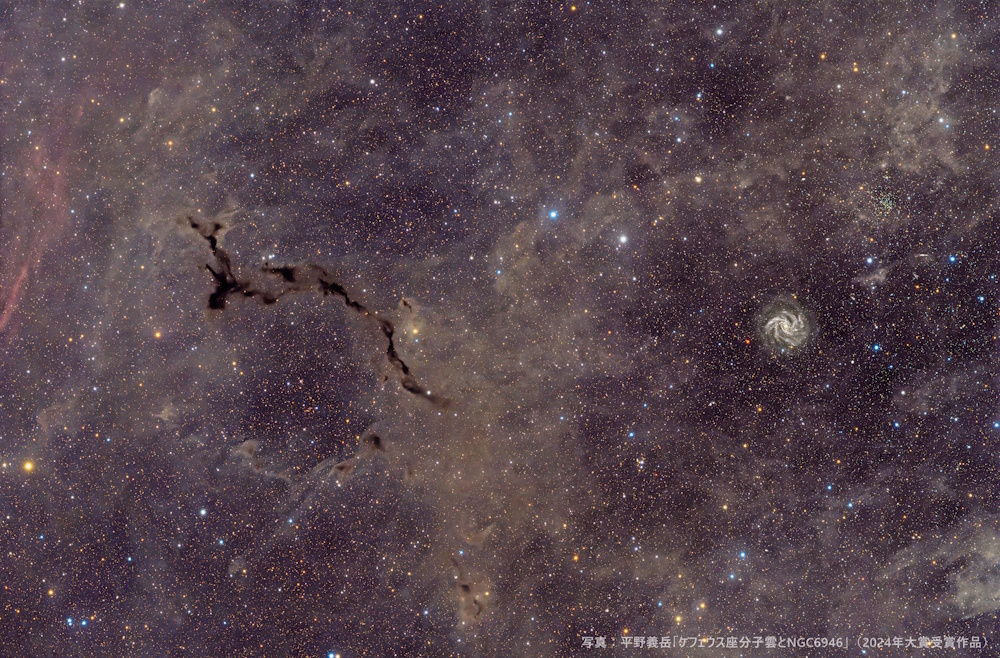 2024年大賞受賞作品「ケフェウス座分子雲とNGC6946」 2024年大賞受賞作品「ケフェウス座分子雲とNGC6946」