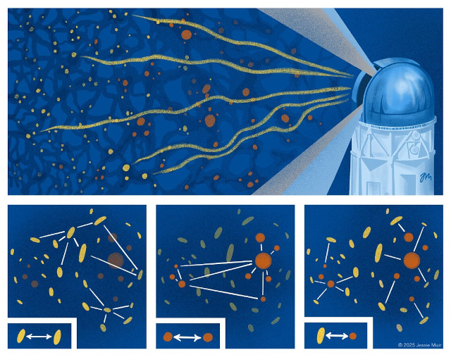 DESのデータ解析