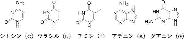 検出された核酸塩基5種 検出された核酸塩基5種