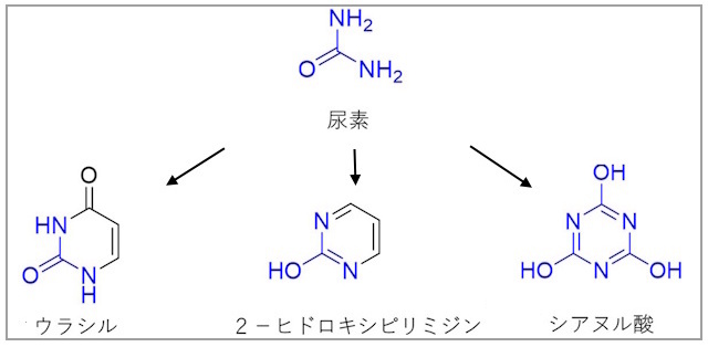 ベンヌ試料から検出された代表的な窒素複素環化合物 ベンヌ試料から検出された代表的な窒素複素環化合物