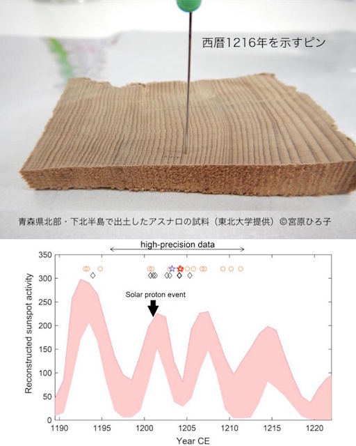 アスナロの試料と太陽周期