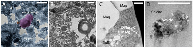 リュウグウ試料で見つかった有機物
