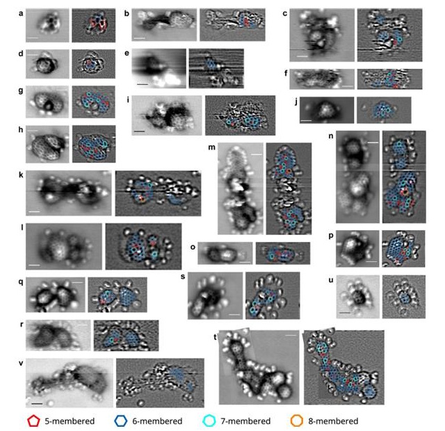 発見された多様な有機分子