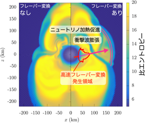 比エントロピーの分布 比エントロピーの分布