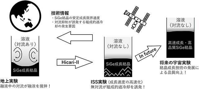 今回の研究成果の概念図 今回の研究成果の概念図