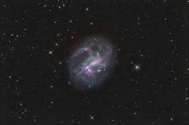 NGC 4395 NGC 4395