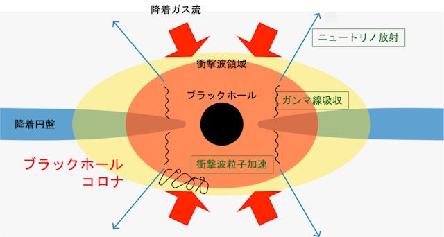 超大質量ブラックホール周辺の衝撃波による粒子加速とニュートリノ生成の模式図