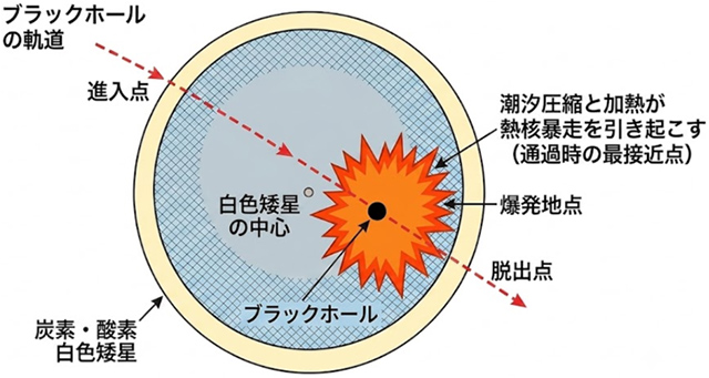 原始ブラックホールが引き金となったIa型超新星 原始ブラックホールが引き金となったIa型超新星