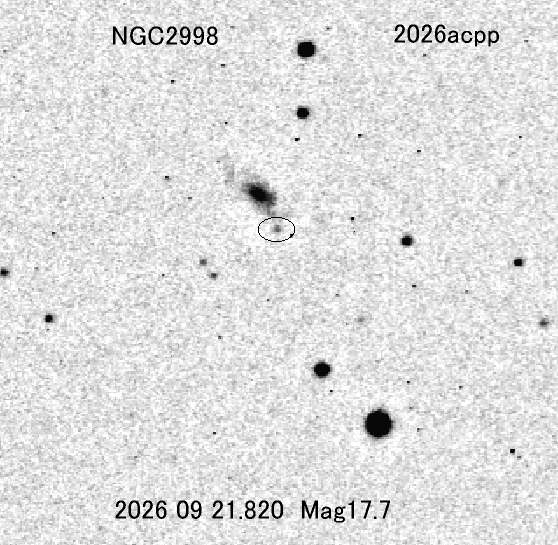 おおぐま座の新天体