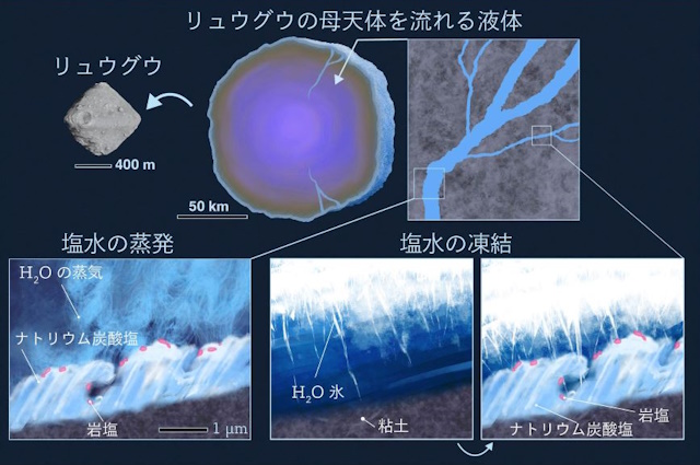 リュウグウの母天体での塩結晶の形成