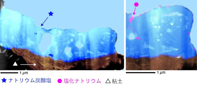 ナトリウム炭酸塩脈の断面