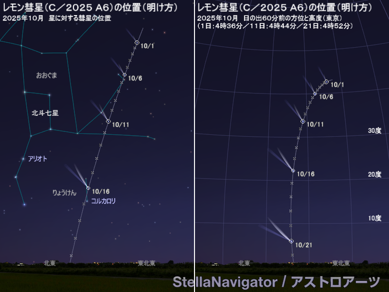 明け方の彗星の位置