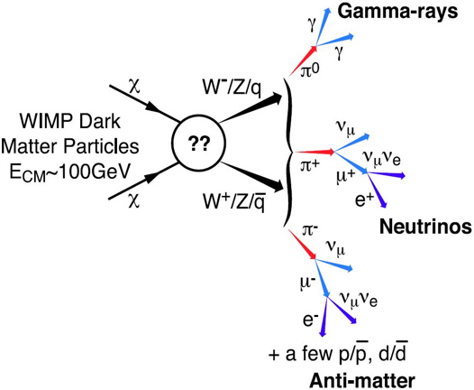 WIMPの対消滅 WIMPの対消滅