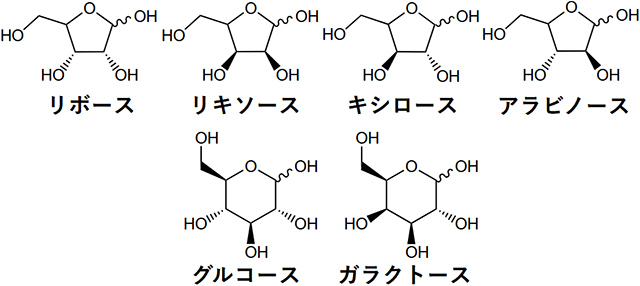 ベンヌ試料から検出された糖