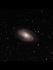 M81