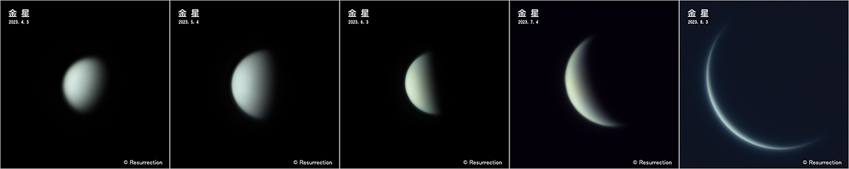 金星の見え方の変化(2024年12月~2025年3月)